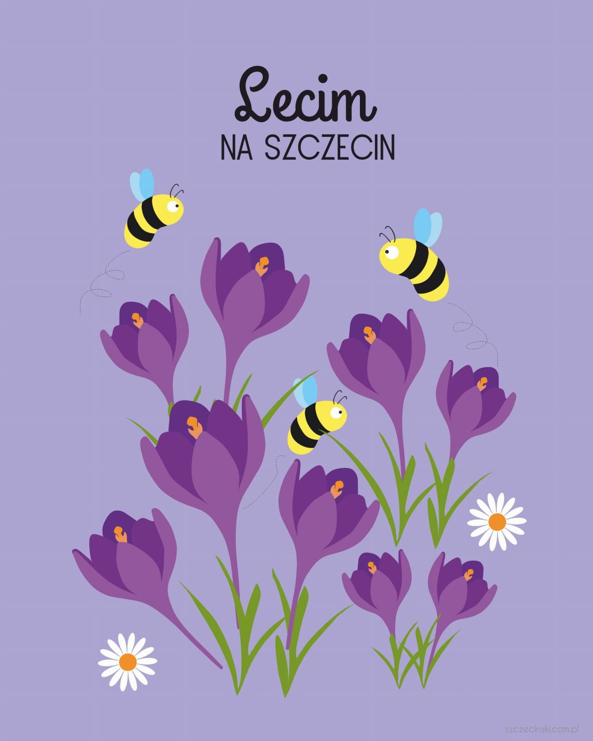 PLAKAT KROKUSY SZCZECIN