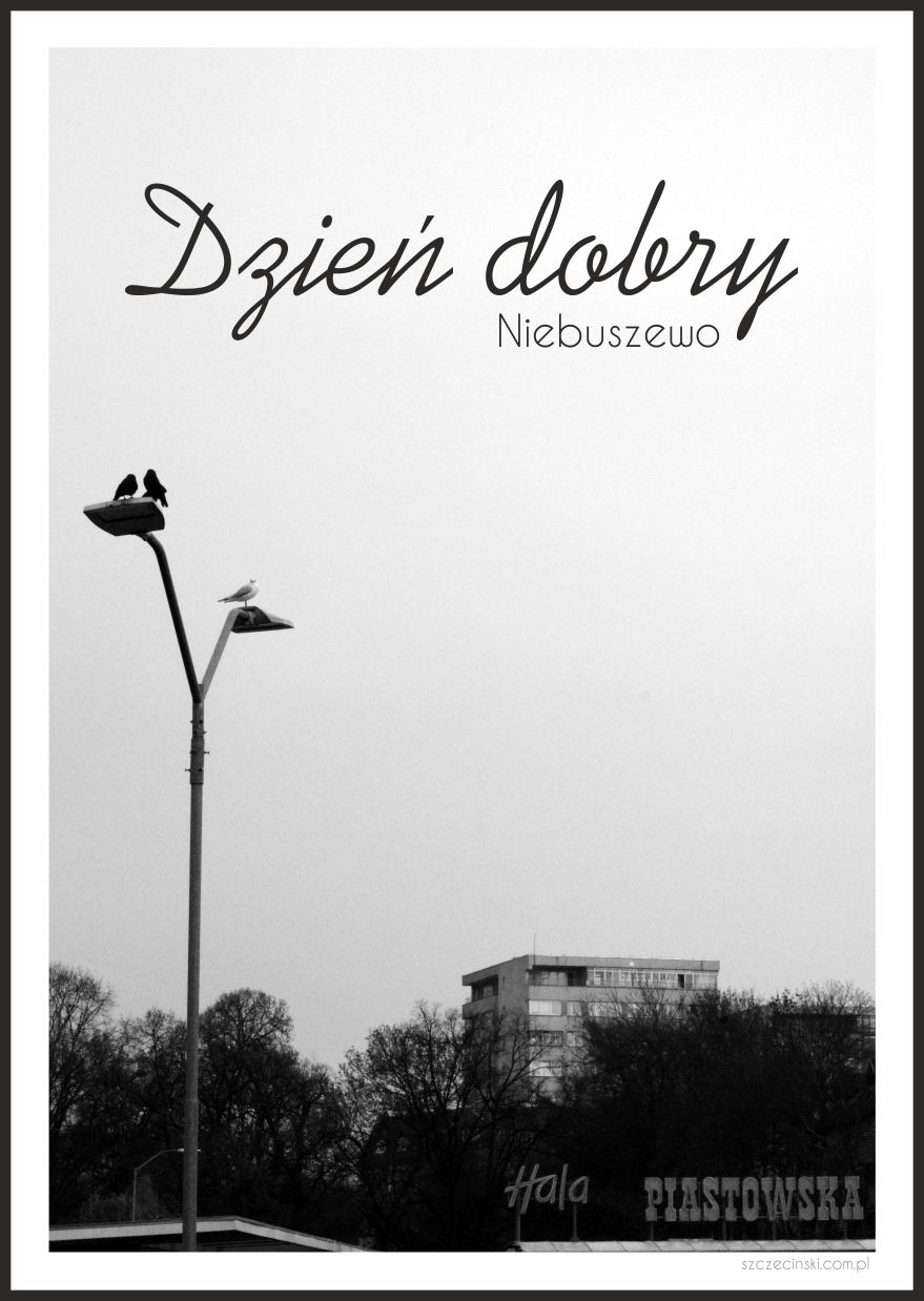 PLAKAT DZIEŃ DOBRY NIEBUSZEWO