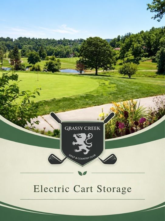 Cart Storage Electric
