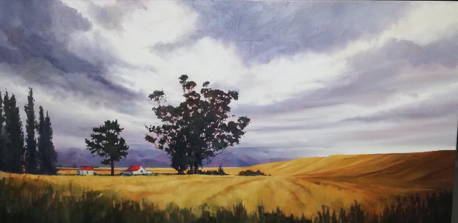 PAINTING WITH COLOUR AND LIGHT IN ACRYLIC/OILS with Bronwyn Shimmin