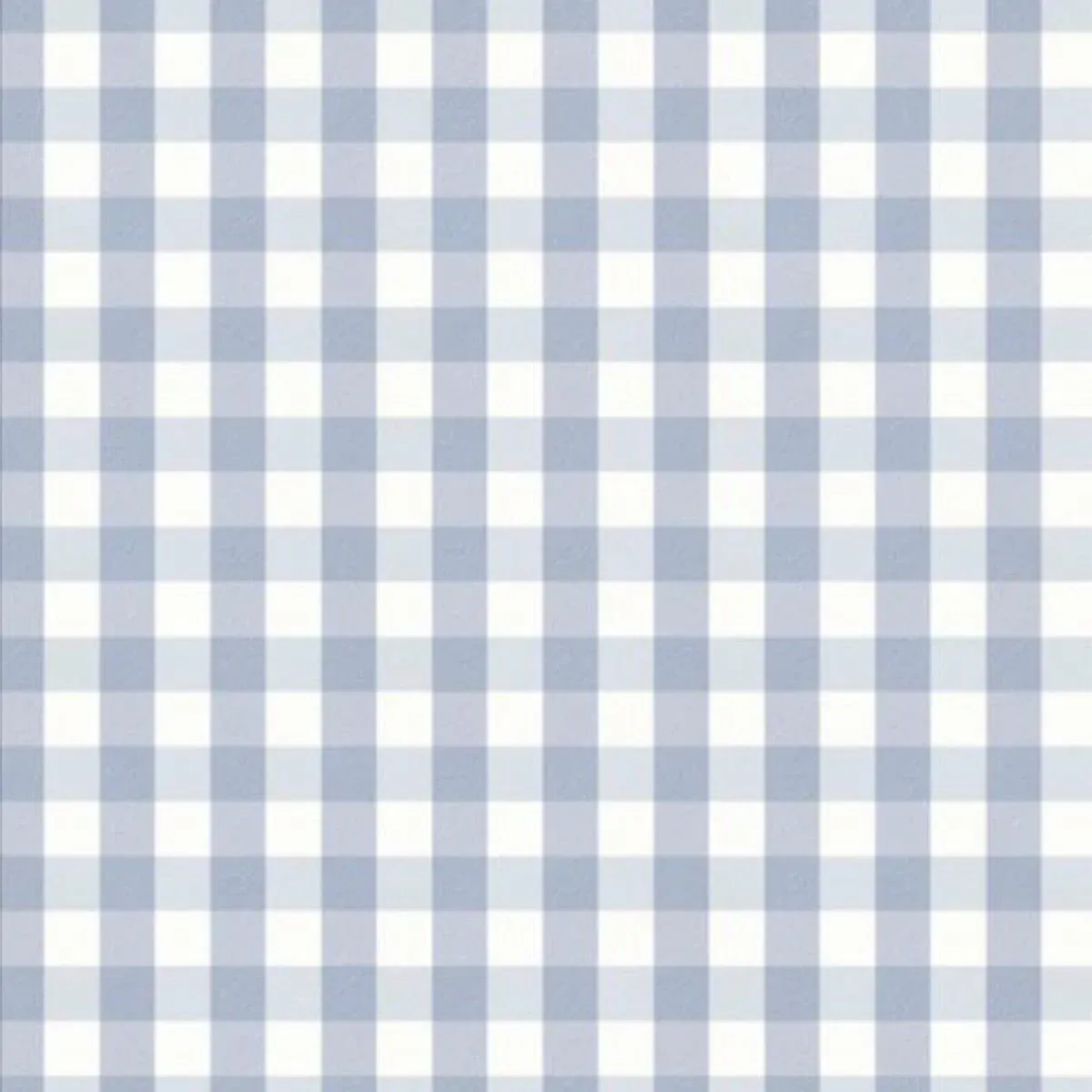 Gingham Light Blue (Large)