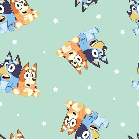 Bluey &amp; Bingo