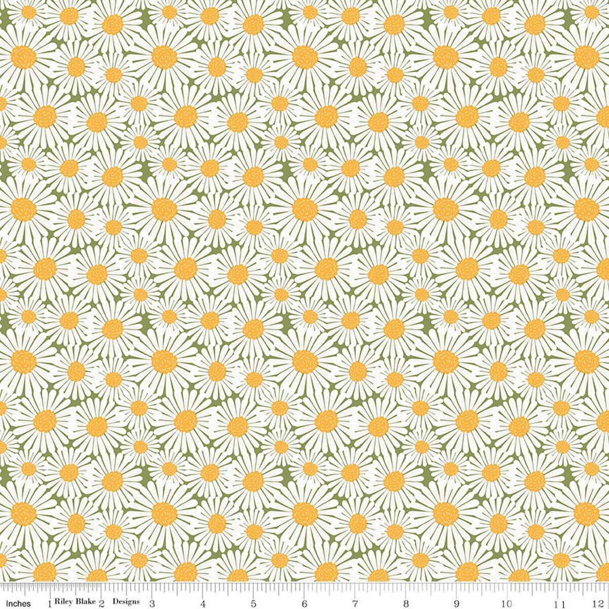Sunshine &amp; Dandelion Green Daisy