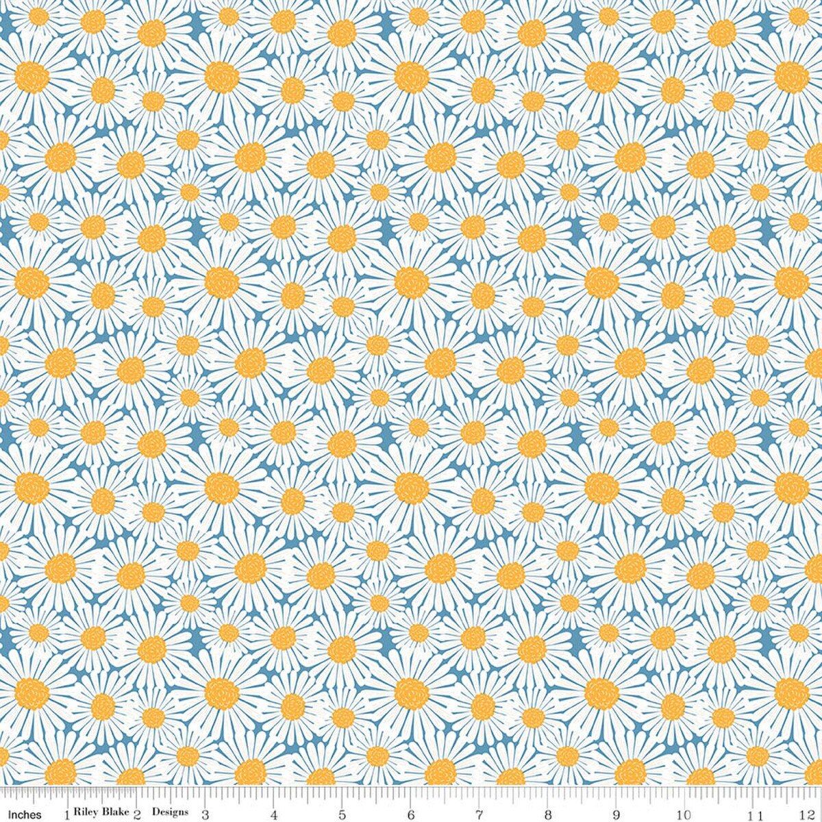Sunshine &amp; Dandelion Blue Daisy