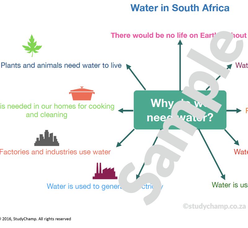 Grade 4 Geography Summary: Water