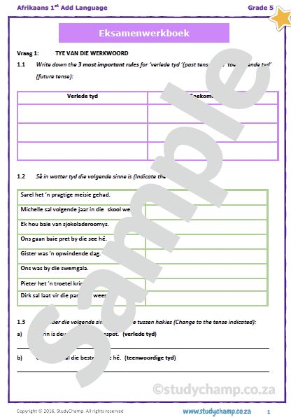 Grade 5 Afrikaans Year-end Exam: Language workbook