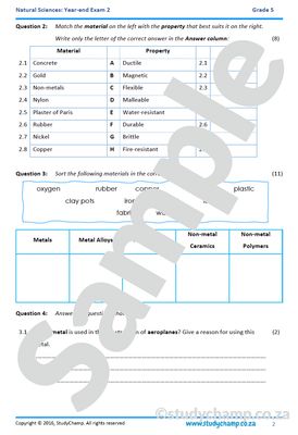 Grade 5 Natural Sciences: Year-end Exam Workbook 2