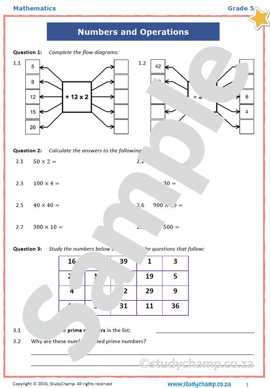 Grade 5 Mathematics Test: Mixed Concepts 4