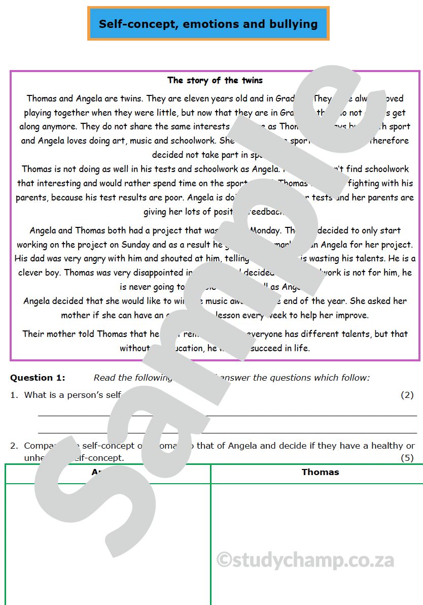 Grade 5 Life Orientation Test: Self-concept, emotions and bullying