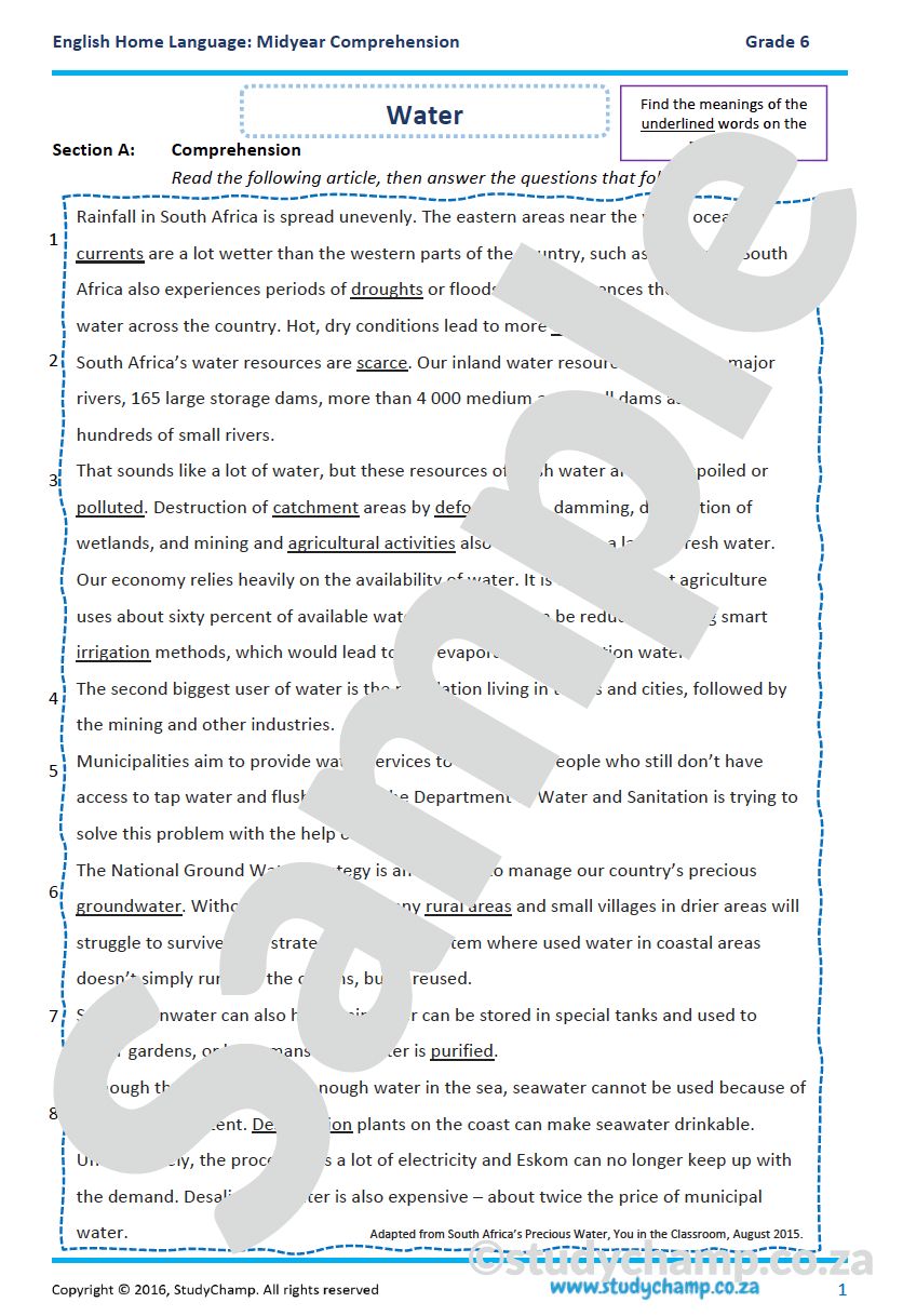Grade 6 English Mid-year Exam: Comprehension B