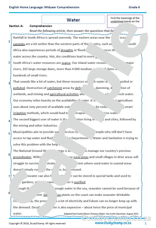 Grade 6 English Mid-year Exam: Comprehension B