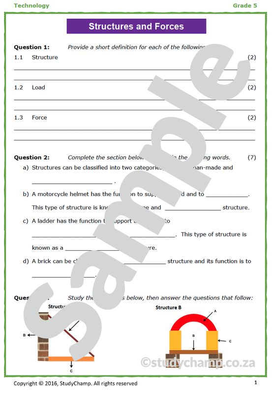 Grade 5 Technology Test: Structures and Forces