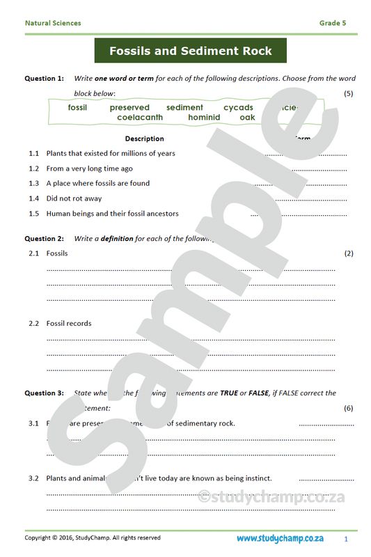 Grade 5 Natural Sciences Test: Fossils and Sedimentary Rock