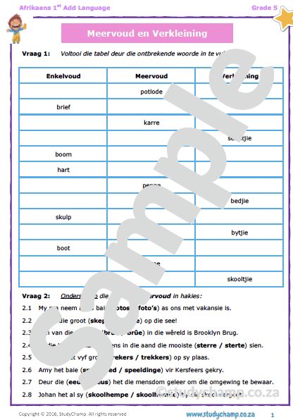 Grade 5 Afrikaans: Meervoud en Verkleining