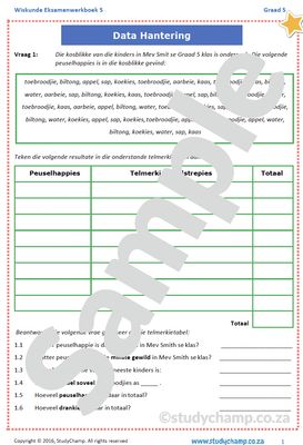 Graad 5 Wiskunde Jaareind Hersiening: Werkboek 5