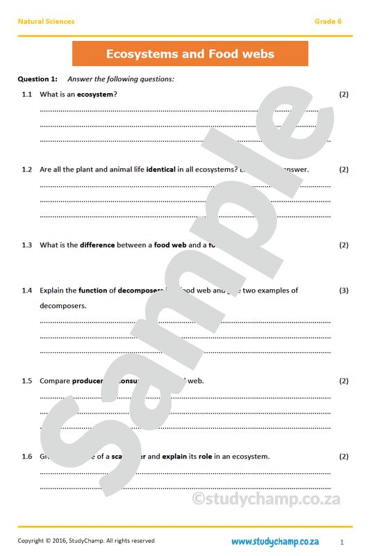 Grade 6 Natural Sciences Test: Ecosystems