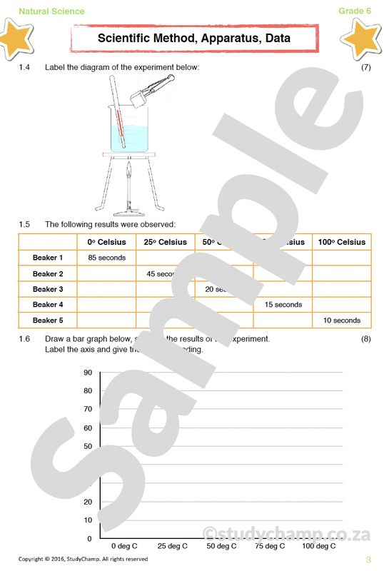 Grade 6 Natural Sciences Worksheet: Scientific Method and Experiments