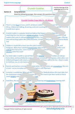 Grade 4 English Comprehension: Crumbl Cookies