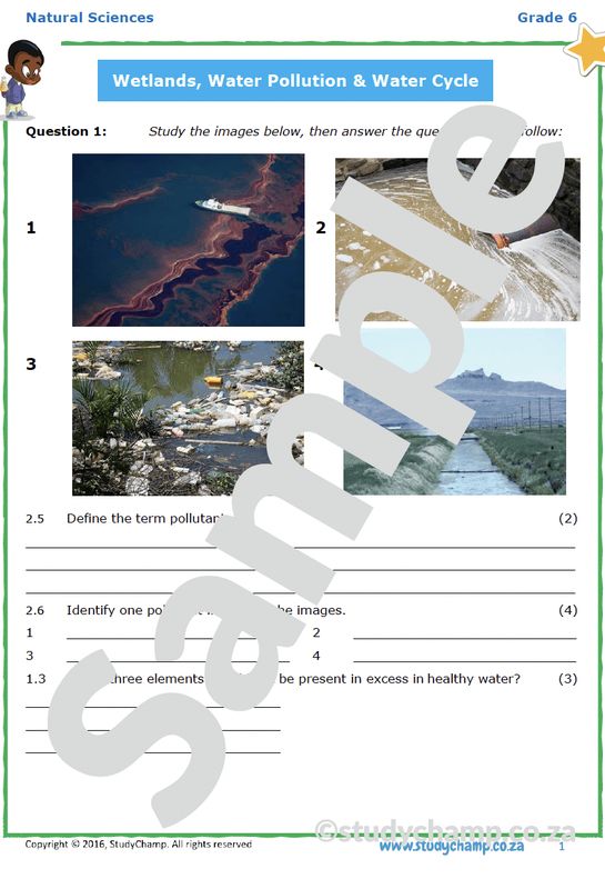 Grade 6 Natural Sciences Test: Pollution, Wetlands and Water Cycle