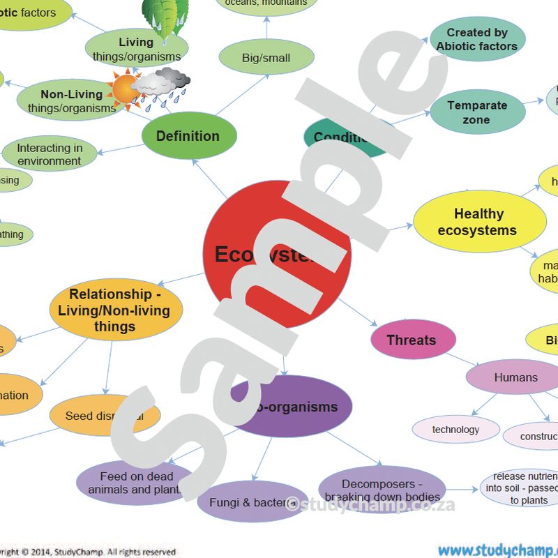 Grade 6 Natural Sciences Summary: Ecosystems