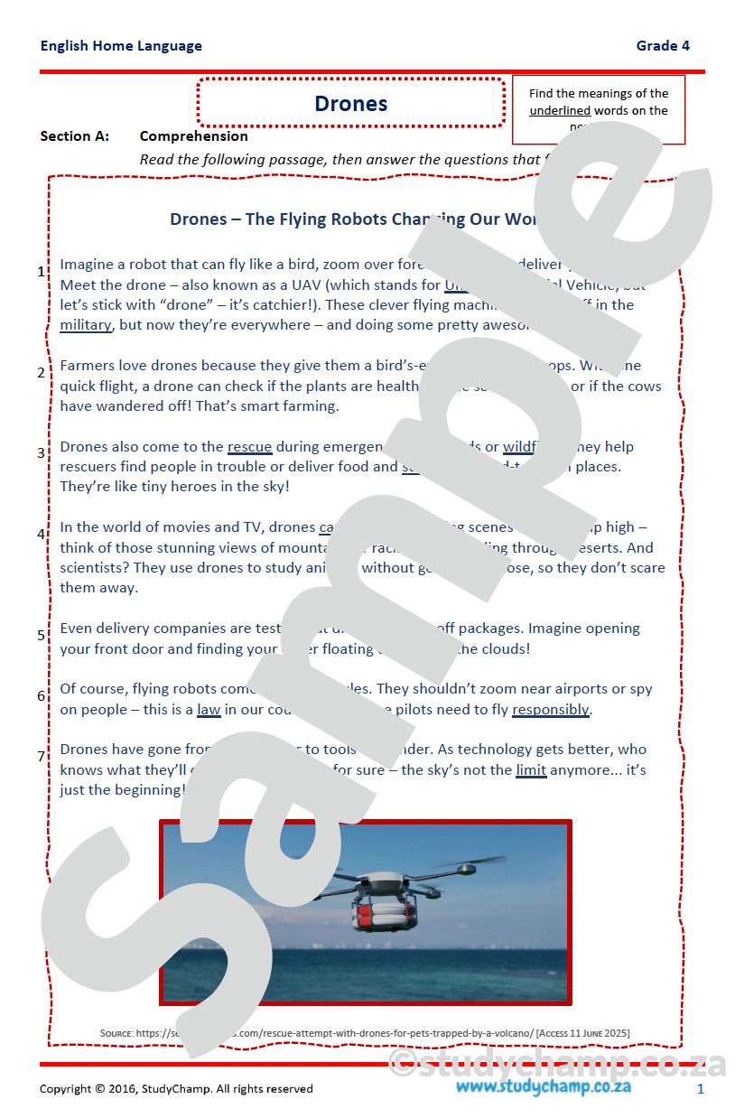 Grade 4 English Comprehension: Drones