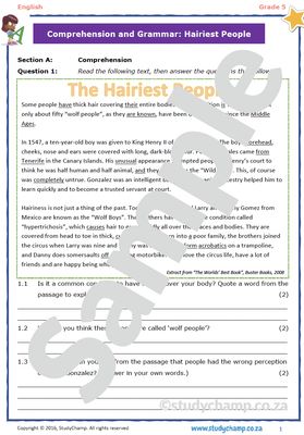 Grade 5 English Test: Comprehension and Language in Context 1