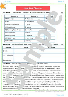 Grade 5 Life Orientation Test: Health and Diseases