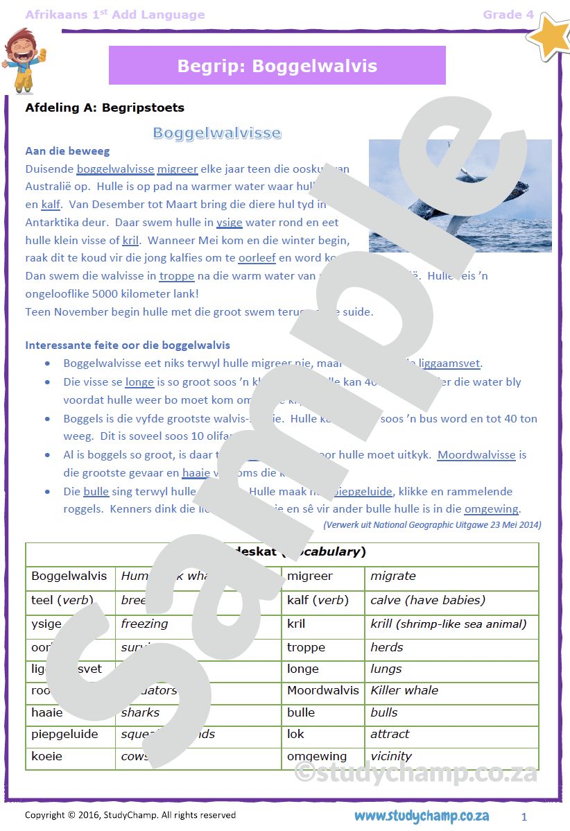 Grade 4 Afrikaans Toets: Boggelwalvis