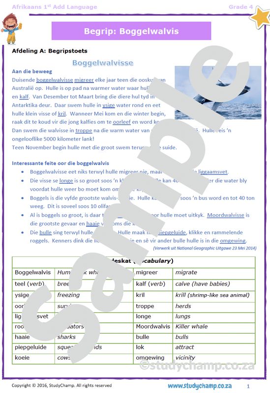 Grade 4 Afrikaans Toets: Boggelwalvis