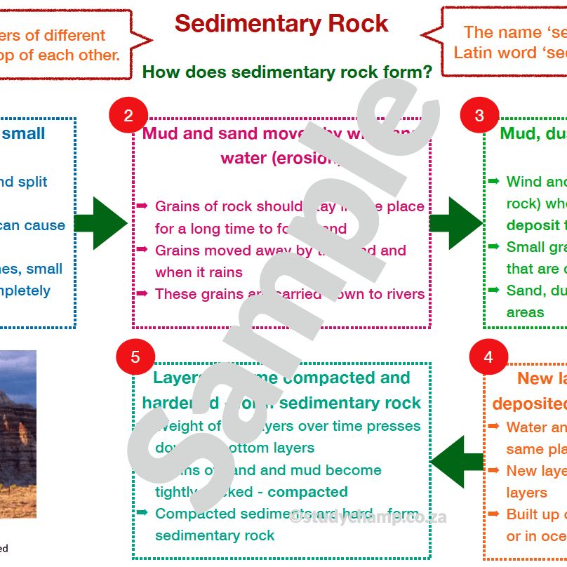 Grade 5 Natural Sciences Summary: Sedimentary rock and Fossils