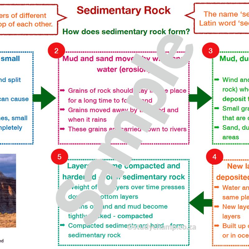Grade 5 Natural Sciences Summary: Sedimentary rock and Fossils