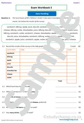 Grade 5 Mathematics Year-End Exam Workbook 5: Data handling