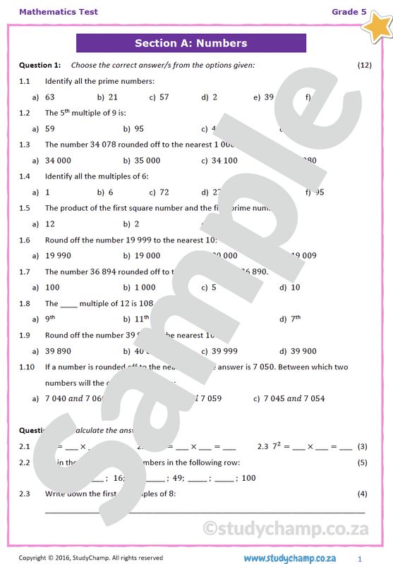Grade 5 Mathematics Test: Mixed Concepts 6