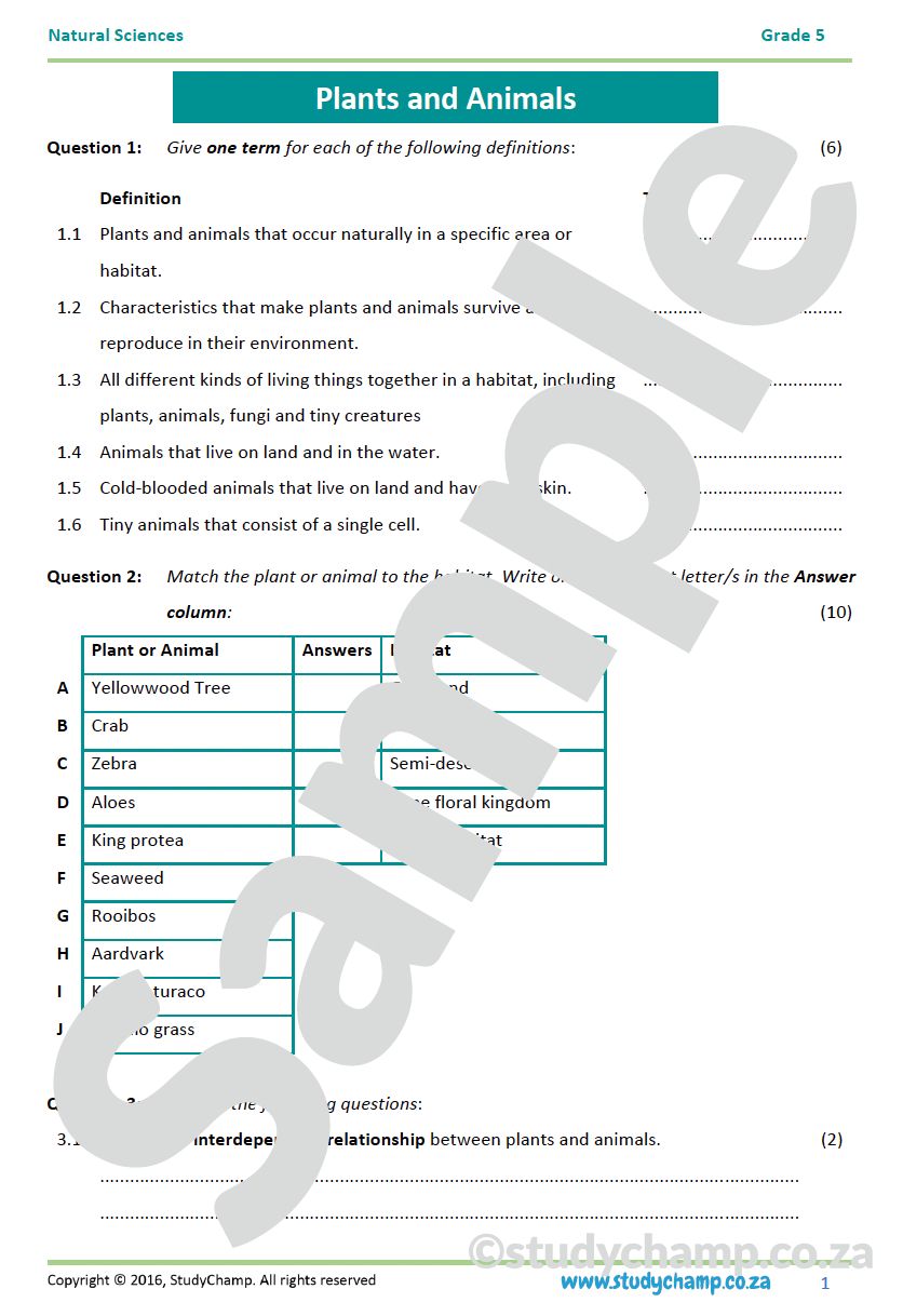 Grade 5 Natural Sciences: Mid-year Exam Workbook