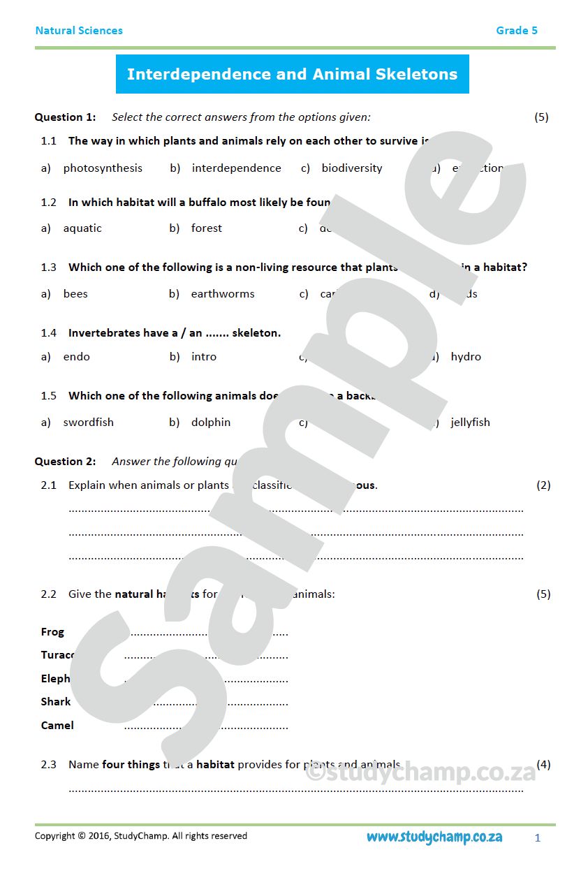 Grade 5 Natural Sciences Test:  Interdependence, Skeletons and Movement