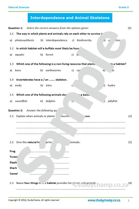 Grade 5 Natural Sciences Test:  Interdependence, Skeletons and Movement