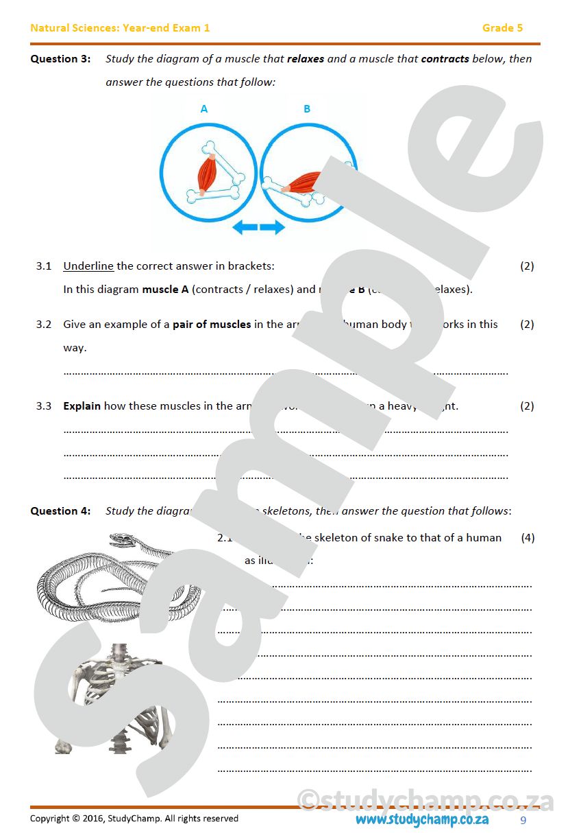 Grade 5 Natural Sciences: Year-end Exam Workbook 1