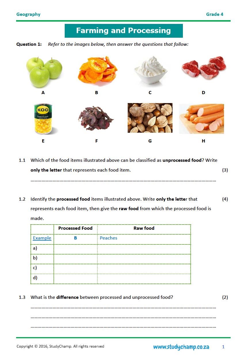 Grade 4 Geography Test: Farming and Processing