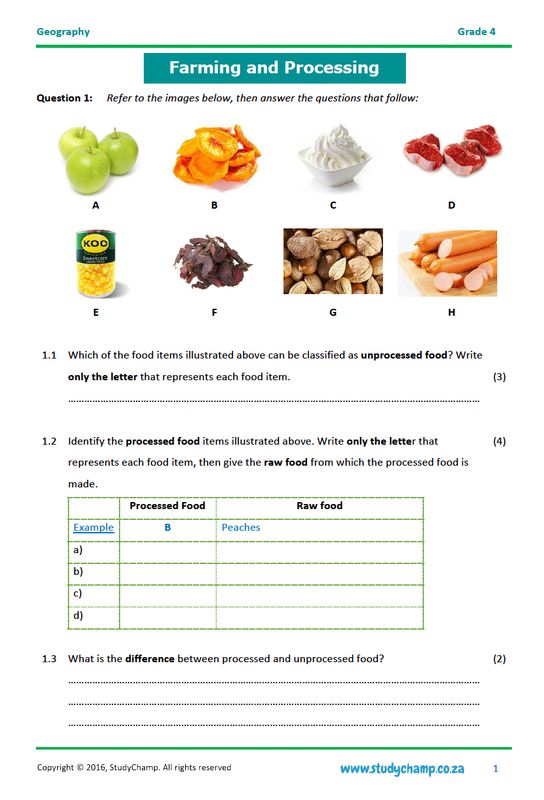 Grade 4 Geography Test: Farming and Processing