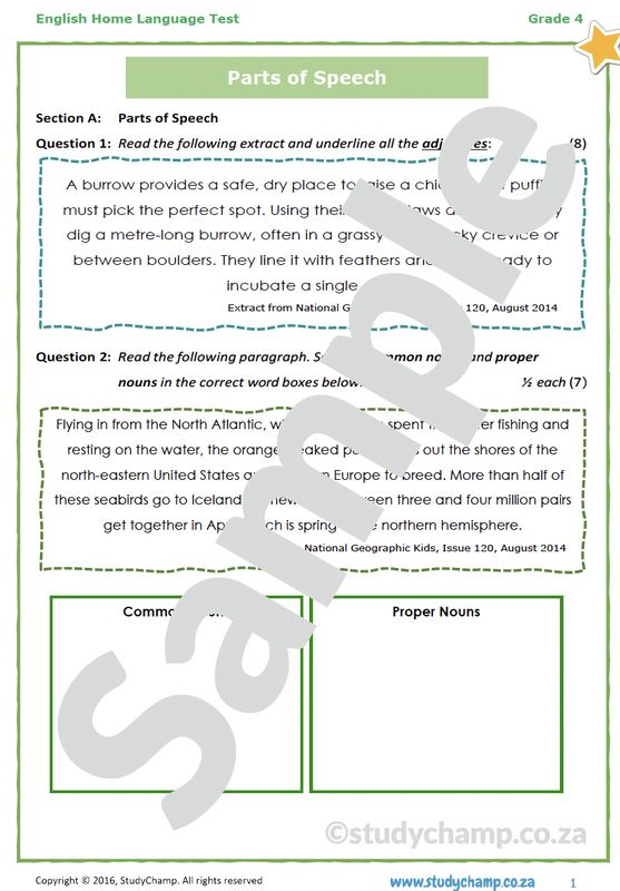 Grade 4 English Test: Rainforests