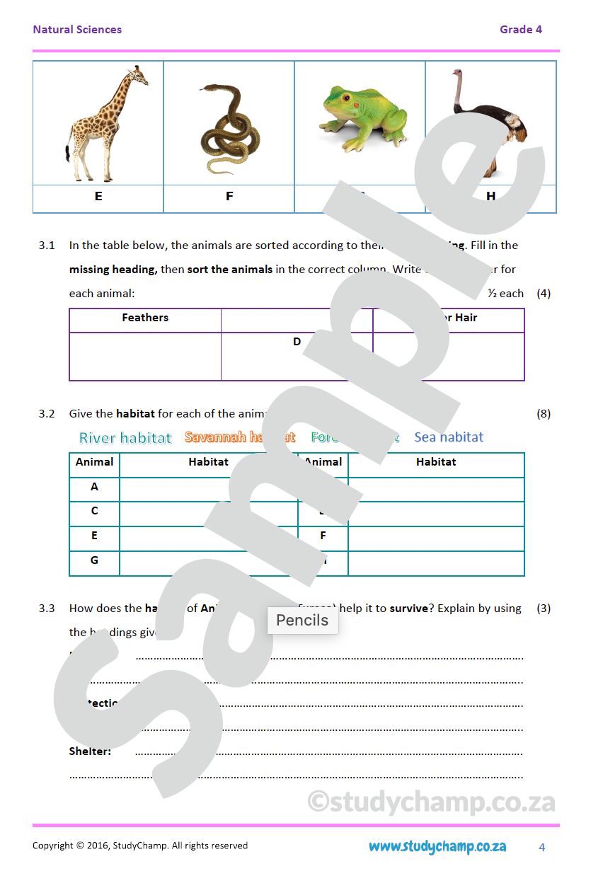 Grade 4 Natural Sciences Test: Animals and Habitat
