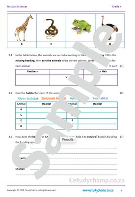 Grade 4 Natural Sciences Test: Animals and Habitat
