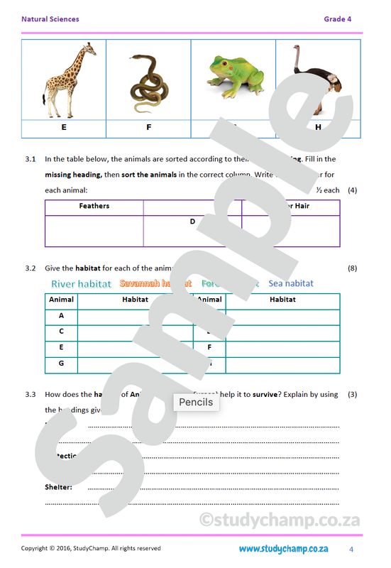 Grade 4 Natural Sciences Test: Animals and Habitat