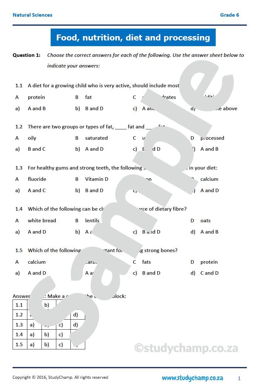 Grade 6 Natural Sciences Test: Food and Diet