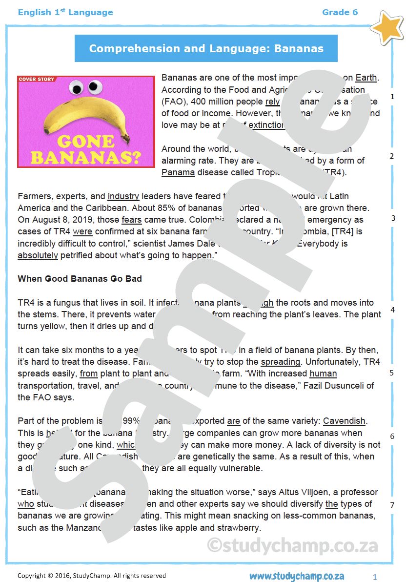 Grade 6 English Comprehension and Language: Bananas
