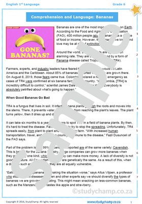 Grade 6 English Comprehension and Language: Bananas