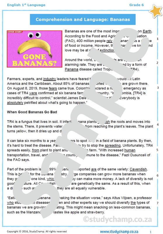 Grade 6 English Comprehension and Language: Bananas