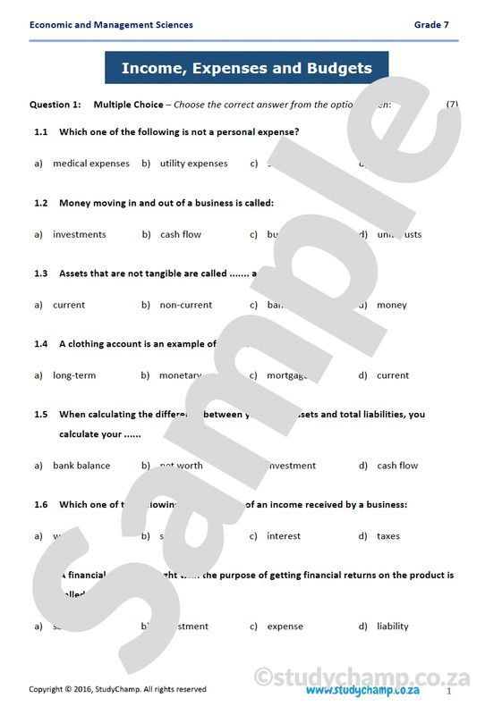 Grade 7 EMS Test: Income, Expenses and Budgets