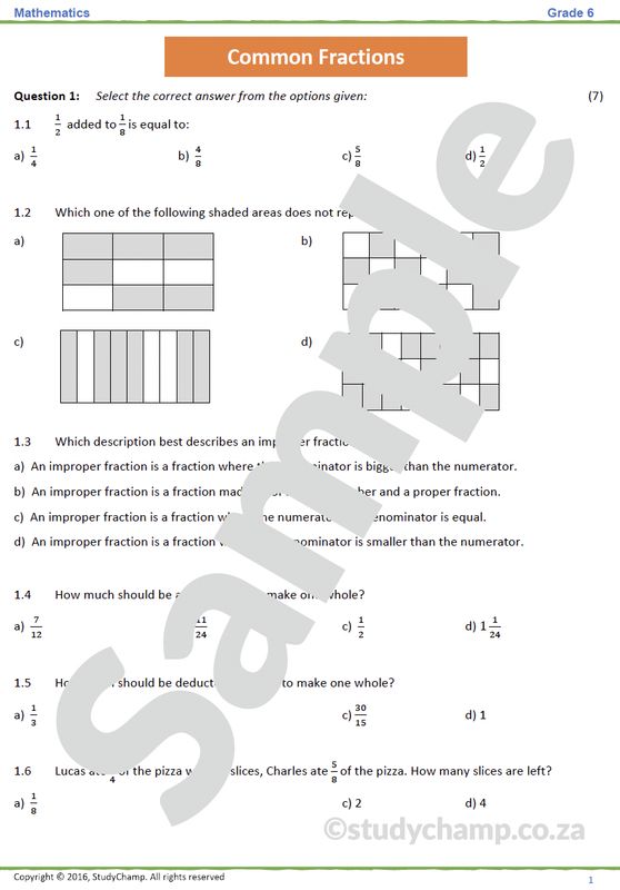 Grade 6 Maths Test: Common Fractions