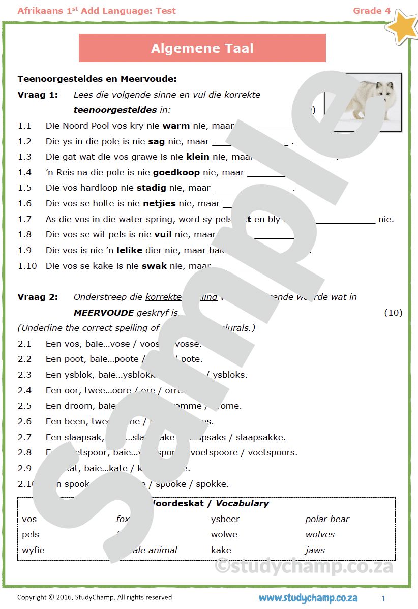 Grade 4 Afrikaans Toets: Algemene Taal
